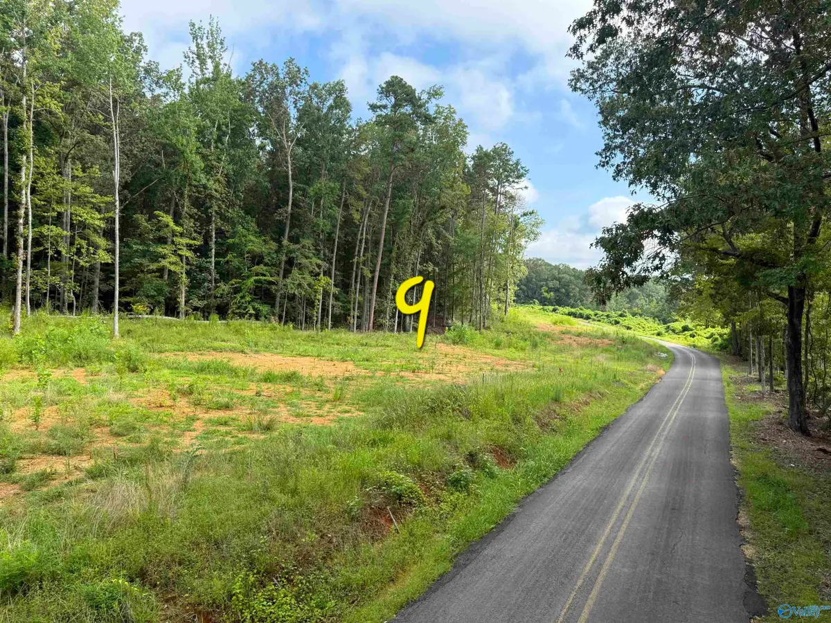 lot 9 County Road 114, Scottsboro, AL 35769 - #1