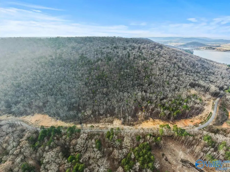 Lot 4 County Road 114, Scottsboro, AL 35769 - #2