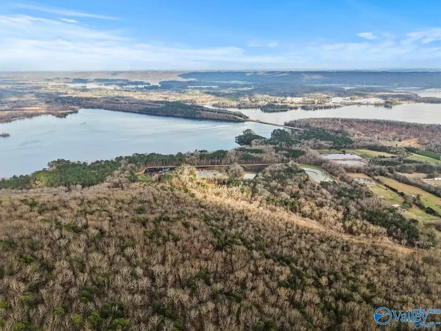 Lot 4 County Road 114, Scottsboro, AL 35769 - #3