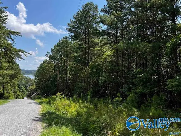 LOT 14 County Road 592, Leesburg, AL 35983