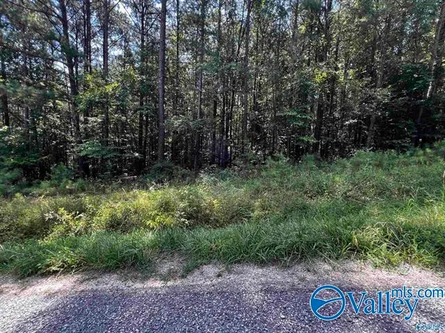 LOT 14 County Road 592, Leesburg, AL 35983 - #3