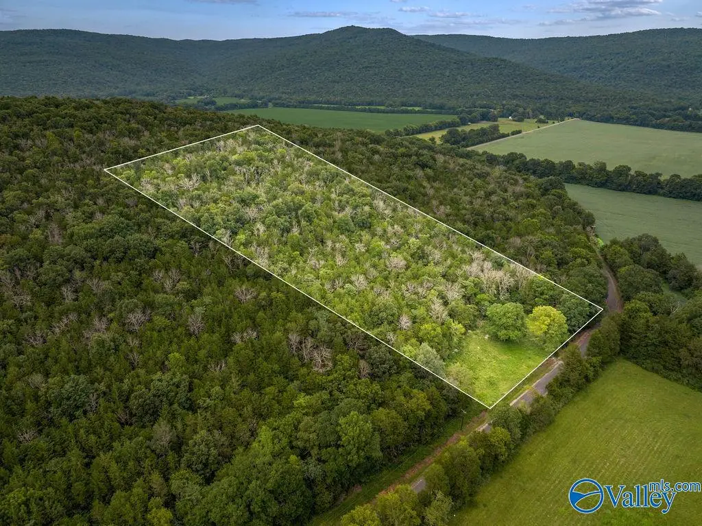 9 Acres County Road 171, Stevenson, AL 35772 - #1