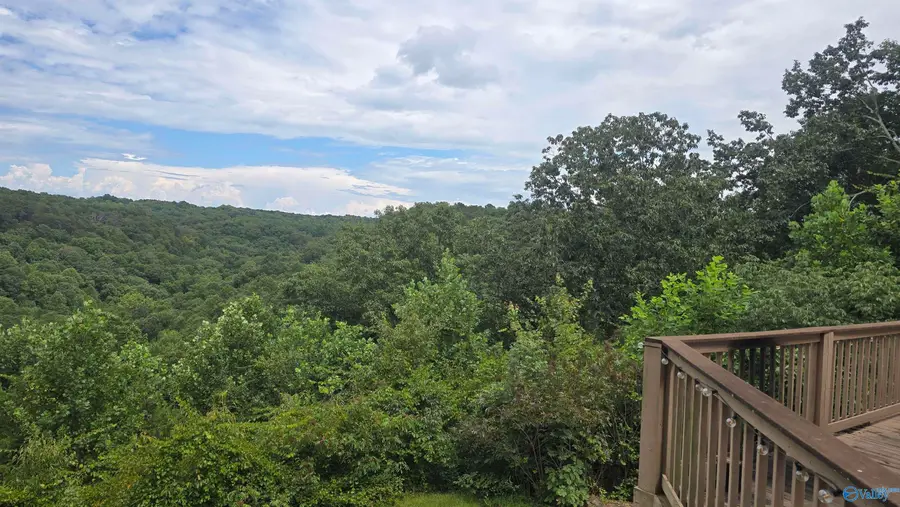 339 Hill Bluff Road, Guntersville, AL 35976 - #2