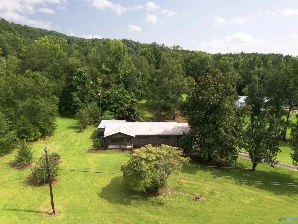 9950 Alabama Highway 91, Hanceville, AL 35077 - #1
