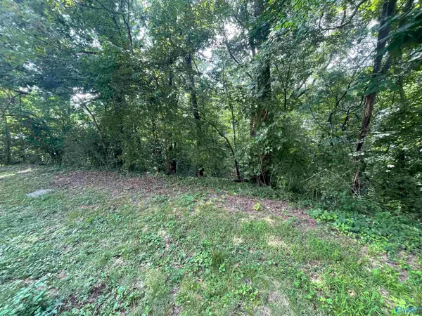 11 Dora Drive, Florence, AL 35633