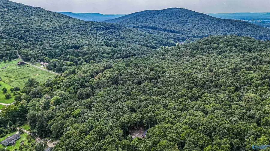 1231 Dug Hill Road, Brownsboro, AL 35741 - #2