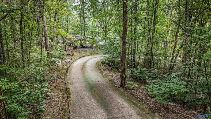 1231 Dug Hill Road, Brownsboro, AL 35741 - #3