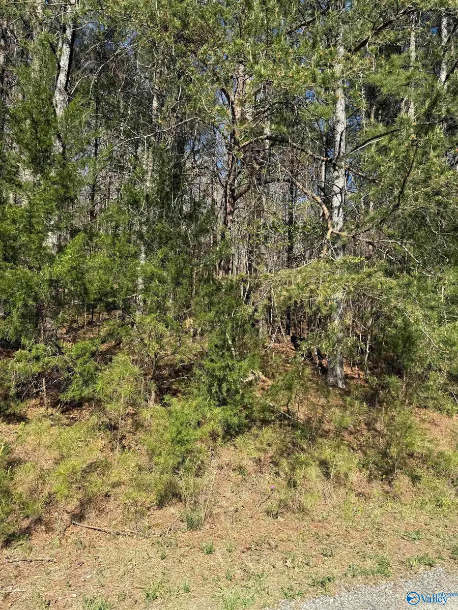 lot 11 A County Road 3782, Arley, AL 35541 - #2