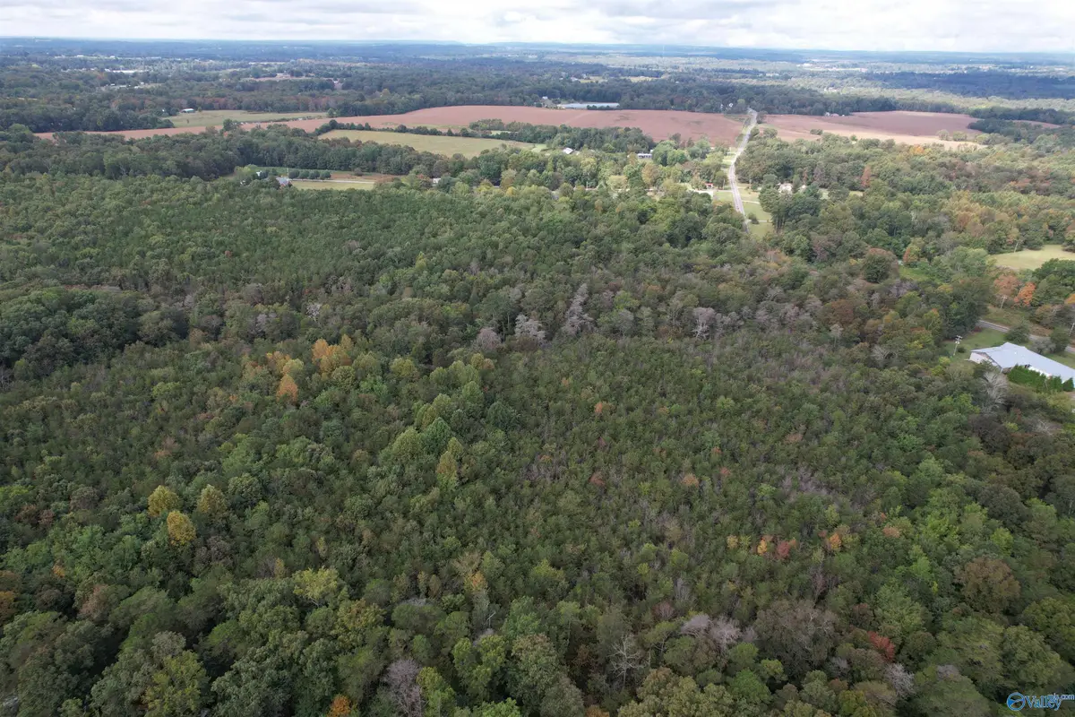 29.57 Ac County Road 155, Flat Rock, AL 35966 - #1