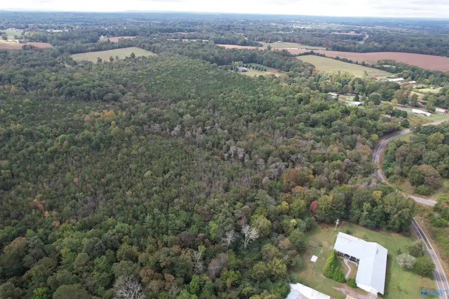 29.57 Ac County Road 155, Flat Rock, AL 35966 - #2