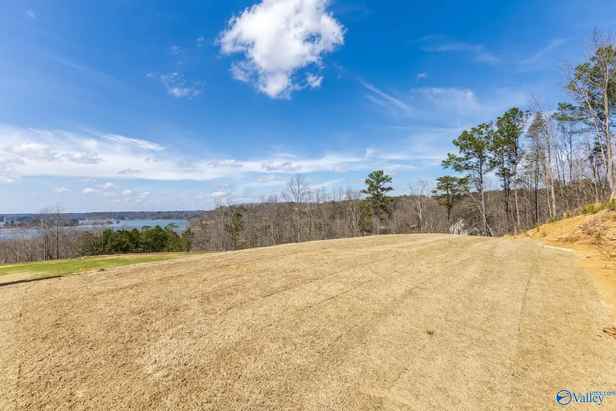 Lot C6 County Road 913, Crane Hill, AL 35053 - #1