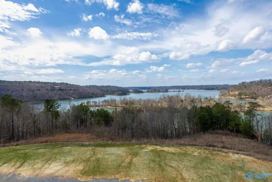 Lot C6 County Road 913, Crane Hill, AL 35053 - #2