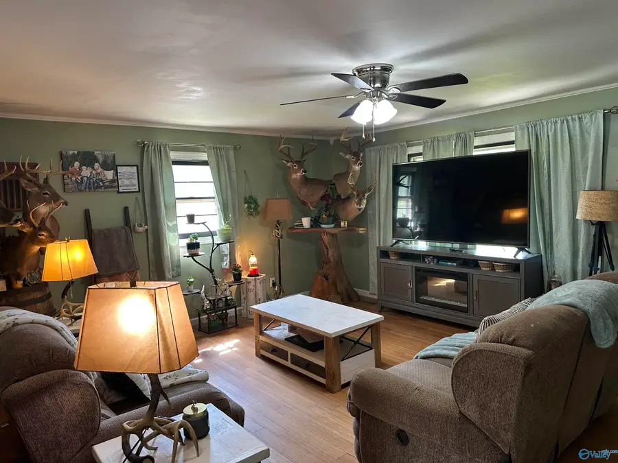 286 Lowery Road, Valley Head, AL 35989 - #3