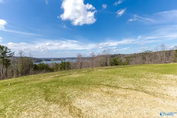 Lot C8 County Road 913, Crane Hill, AL 35053