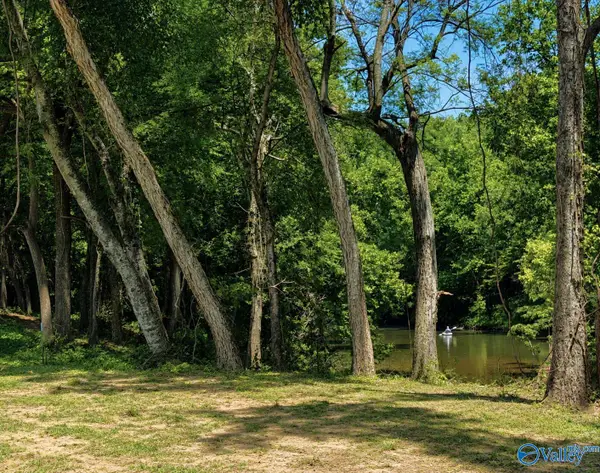 Lot 35 County Road 336, Piedmont, AL 36272