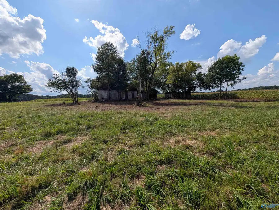 386 Morris Road, Toney, AL 35773 - #3