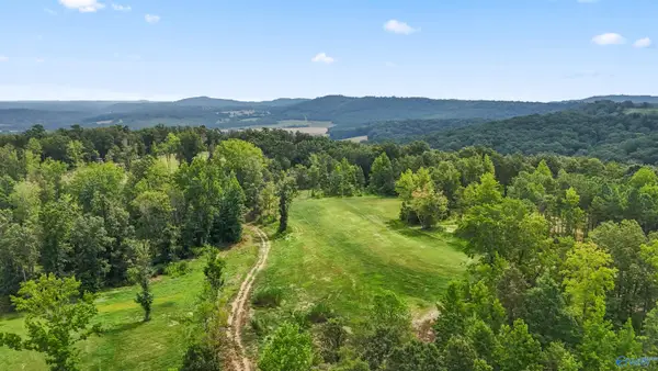 42 acres County Highway 11, Hayden, AL 35079