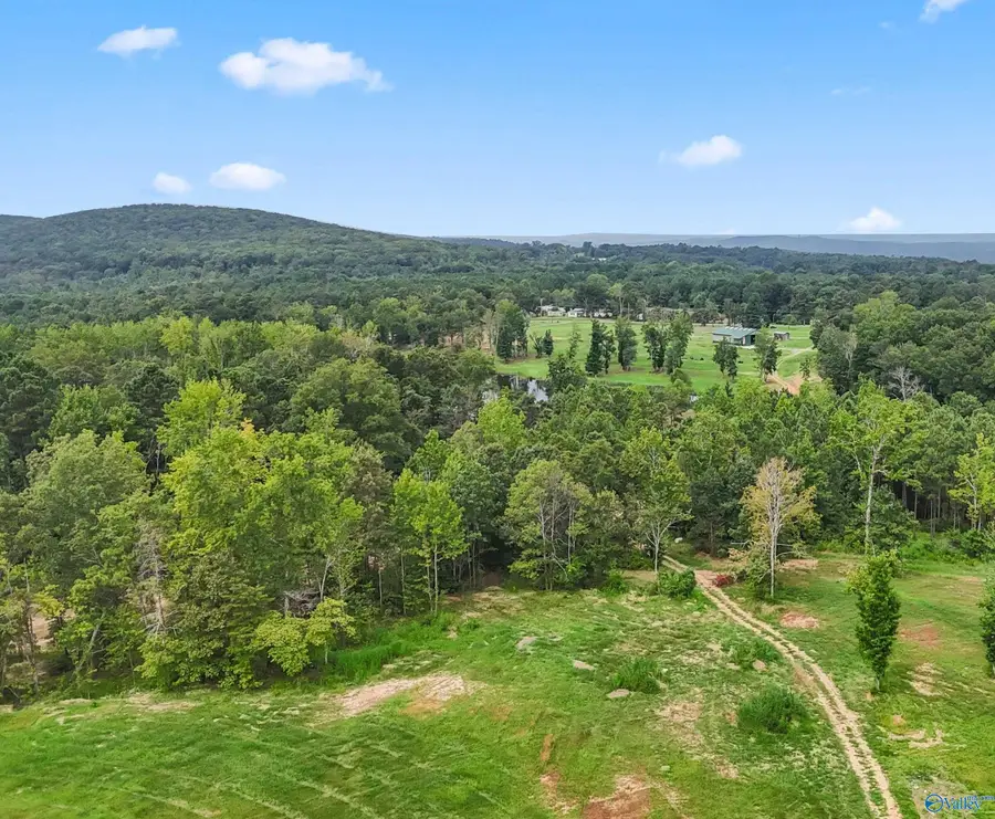 42 acres County Highway 11, Hayden, AL 35079 - #2