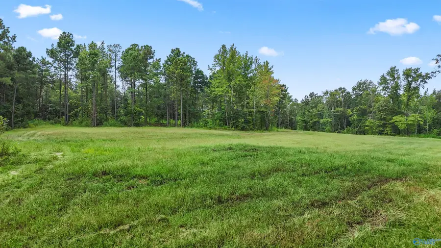 42 acres County Highway 11, Hayden, AL 35079 - #3