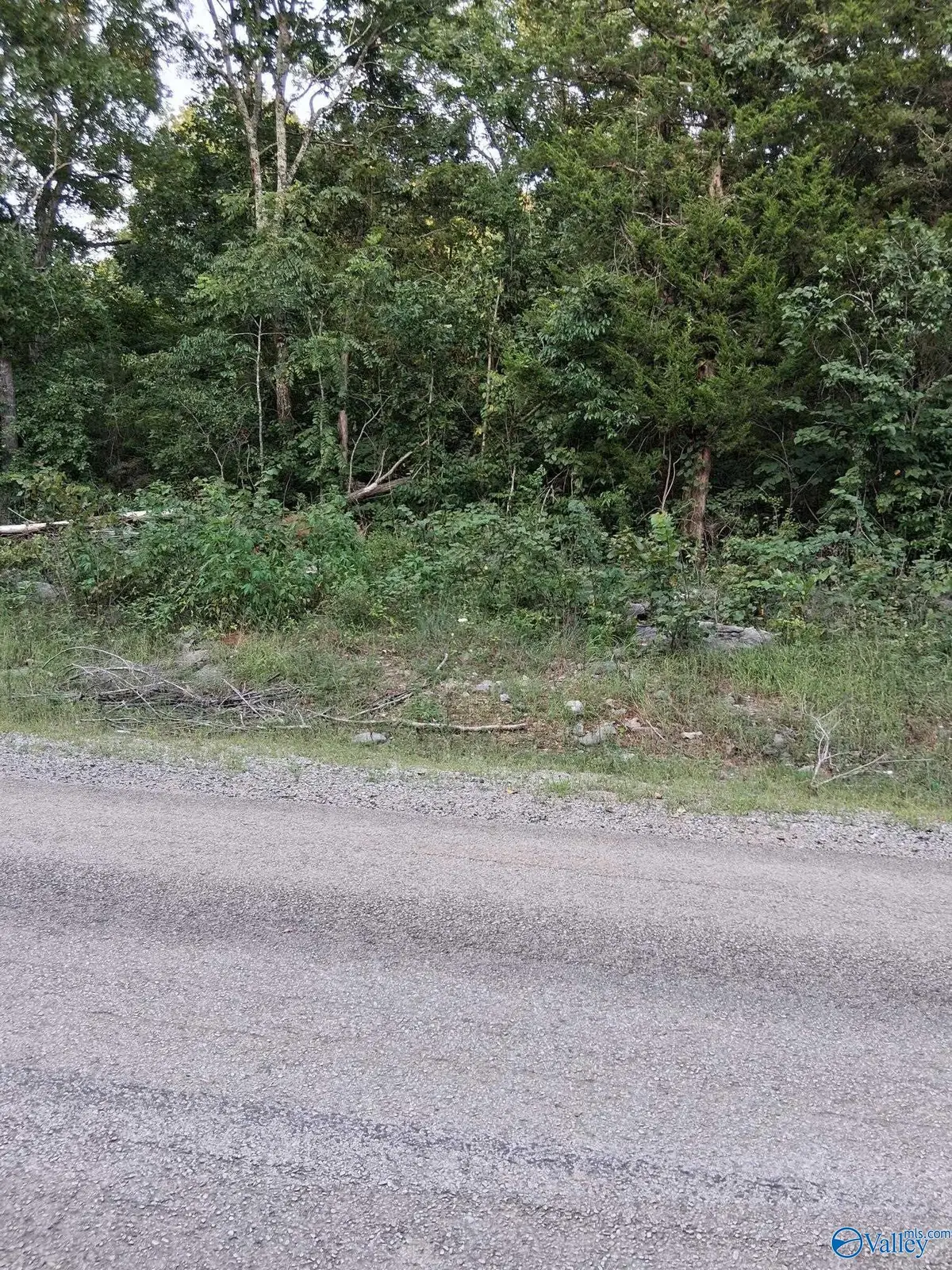 2.0 acres County Road 84, Danville, AL 35619 - #1