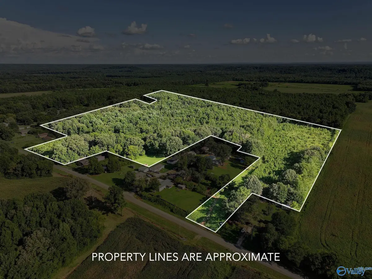31 ACRES Cottontown Lane, Leighton, AL 35646 - #1