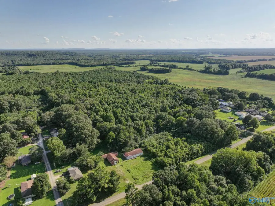 31 ACRES Cottontown Lane, Leighton, AL 35646 - #3
