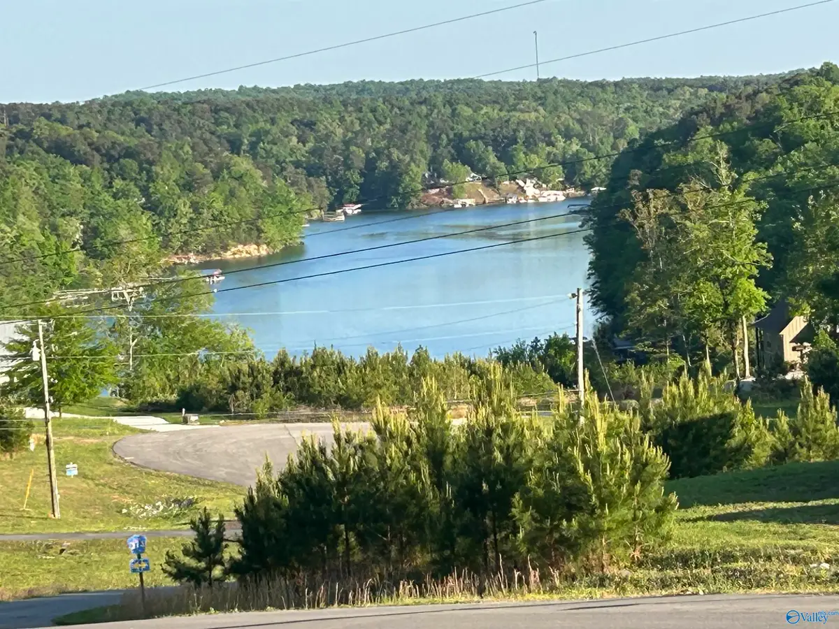 Lot 37 County Road 367, Crane Hill, AL 35053 - #1