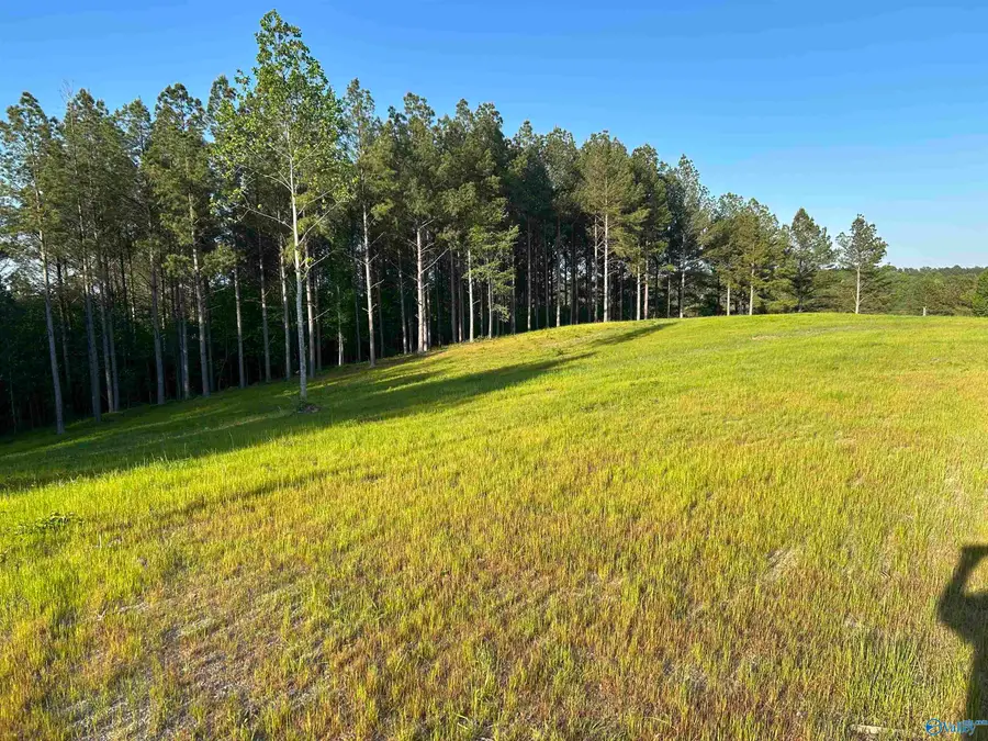 Lot 37 County Road 367, Crane Hill, AL 35053 - #2