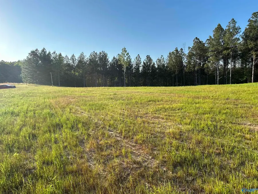 Lot 37 County Road 367, Crane Hill, AL 35053 - #3