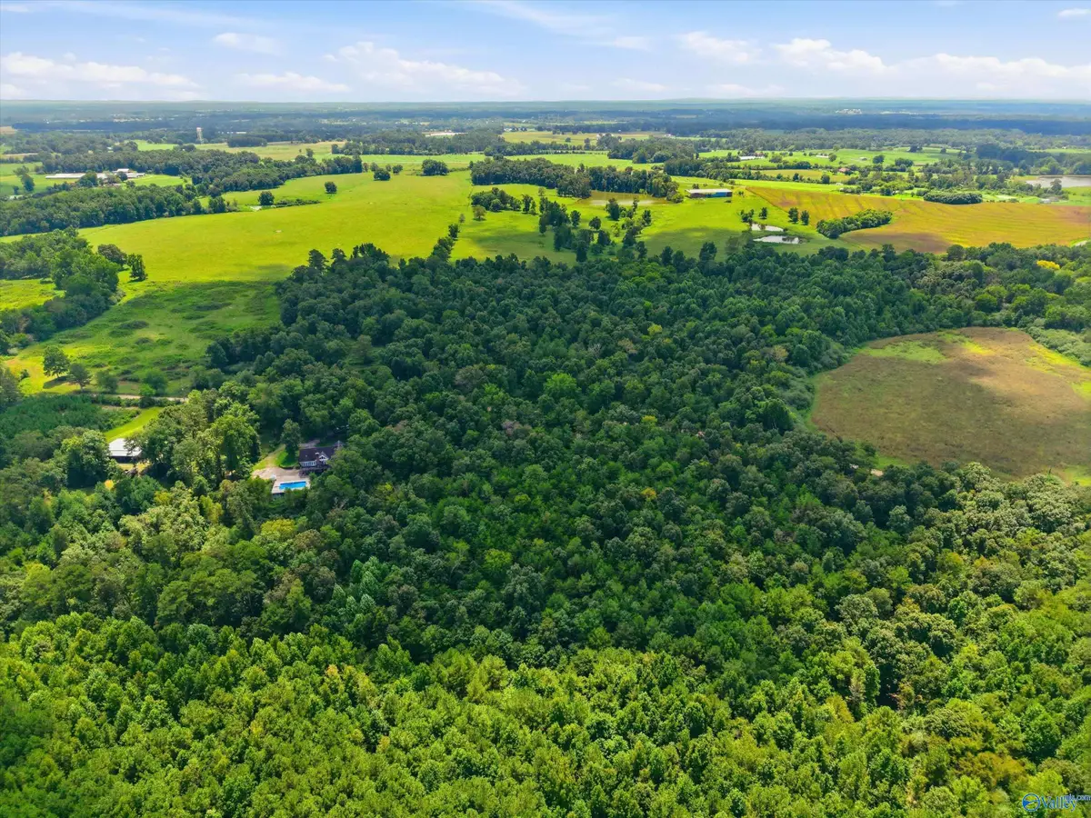 25 acres County Road 3, Albertville, AL 35950 - #1