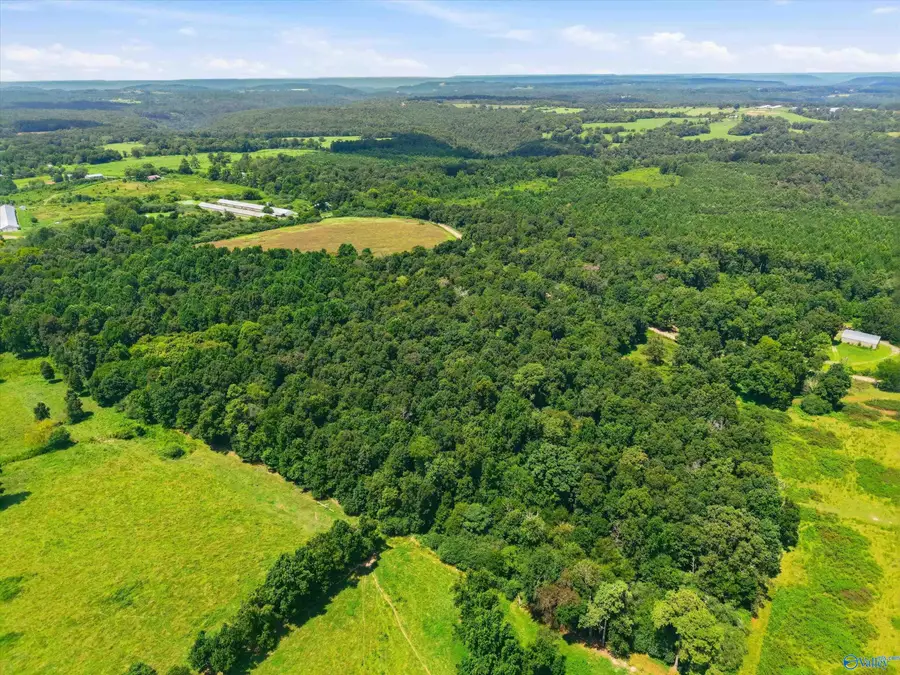 25 acres County Road 3, Albertville, AL 35950 - #3