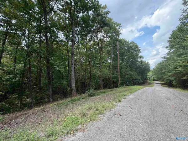 Lot 33 & 34 Woodfern Drive, Scottsboro, AL 35678