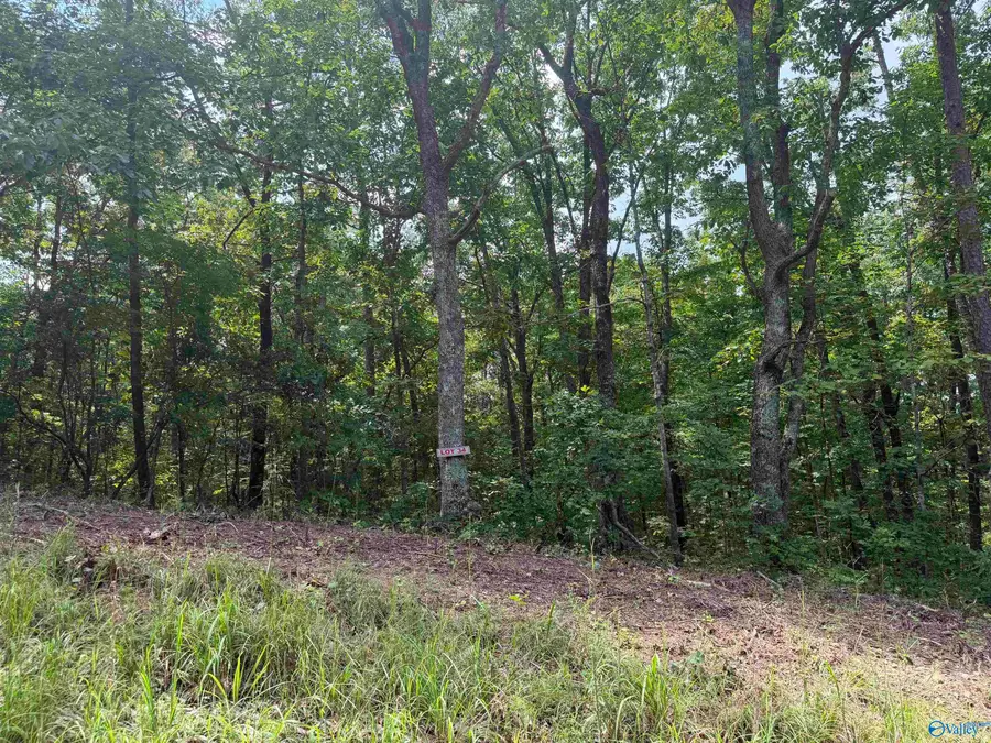 Lot 33 & 34 Woodfern Drive, Scottsboro, AL 35678 - #3