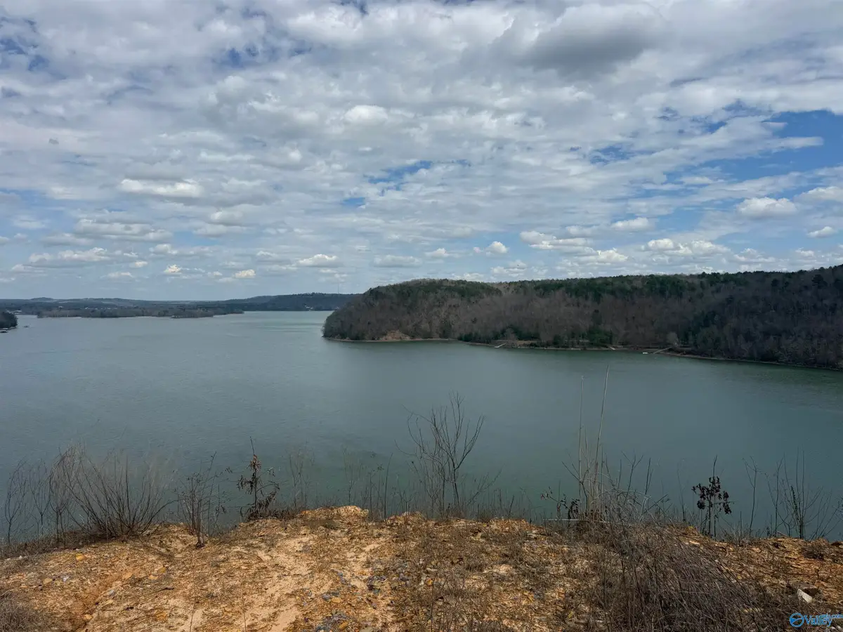 Lot 9 County Road 446, Crane Hill, AL 35053 - #1