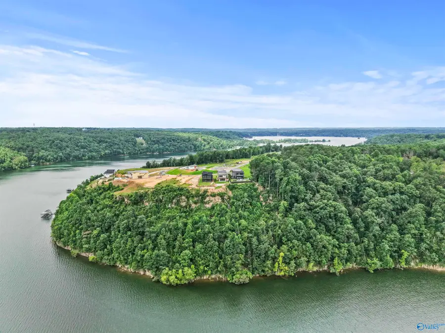 Lot 9 County Road 446, Crane Hill, AL 35053 - #3
