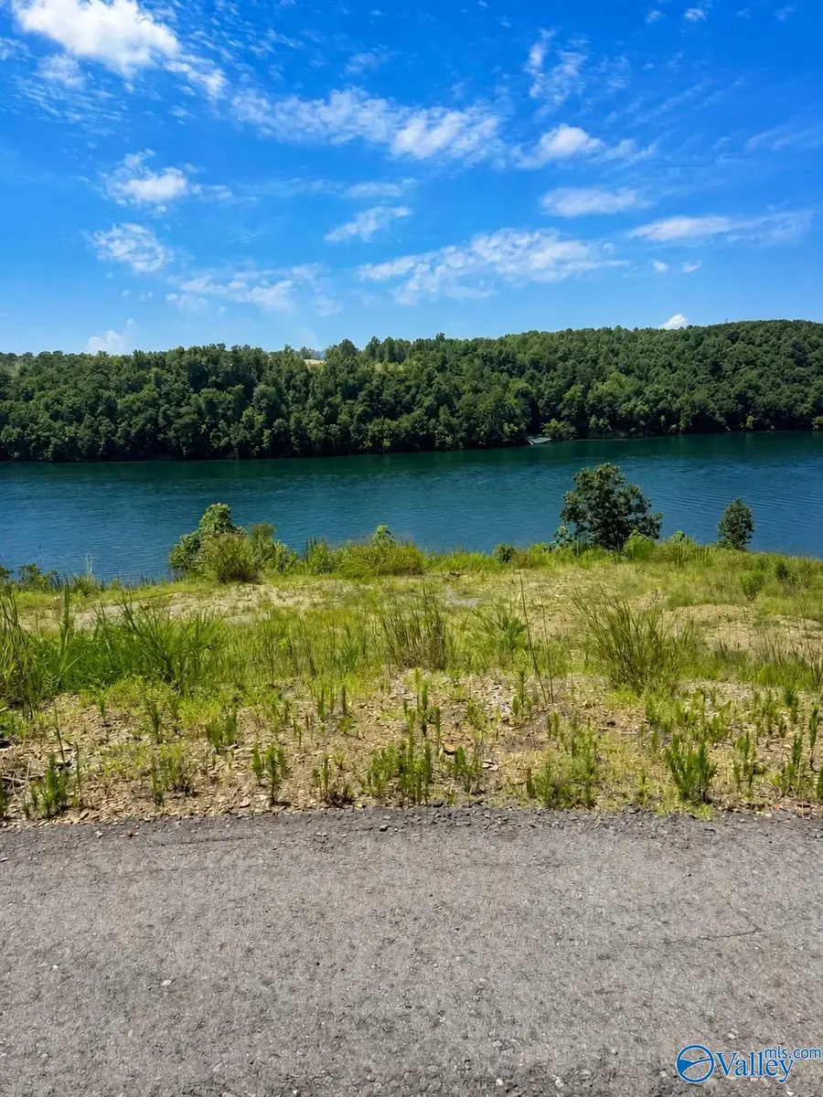 Lot W2 County Road 448, Crane Hill, AL 35053 - #2