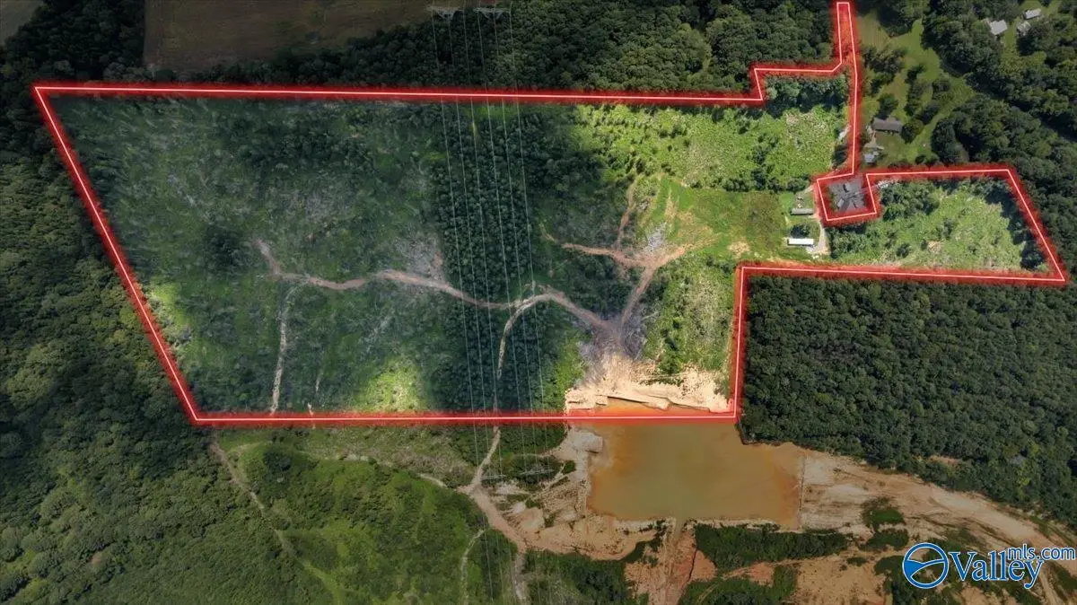 569 Bob Haas Road, Hollywood, AL 35752 - #1
