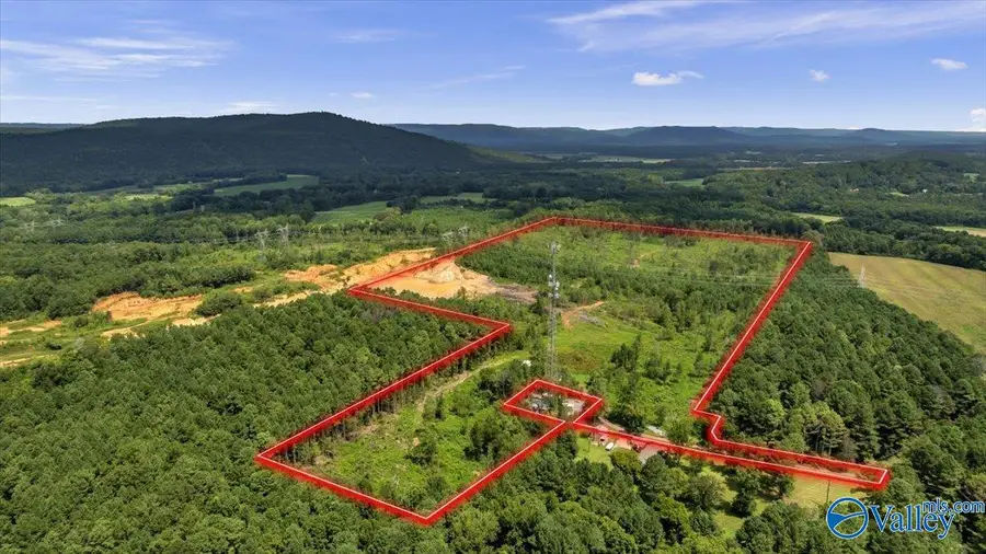 569 Bob Haas Road, Hollywood, AL 35752 - #2