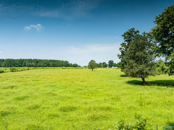 19.5 Thach Road, Athens, AL 35613