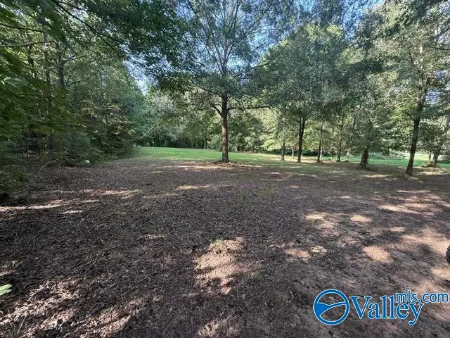 Lot 1 County Road 547, Rogersville, AL 35652 - #2