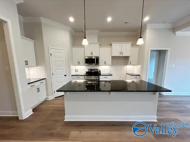 15609 Mizewell Lane Nw, Harvest, AL 35749 - #3