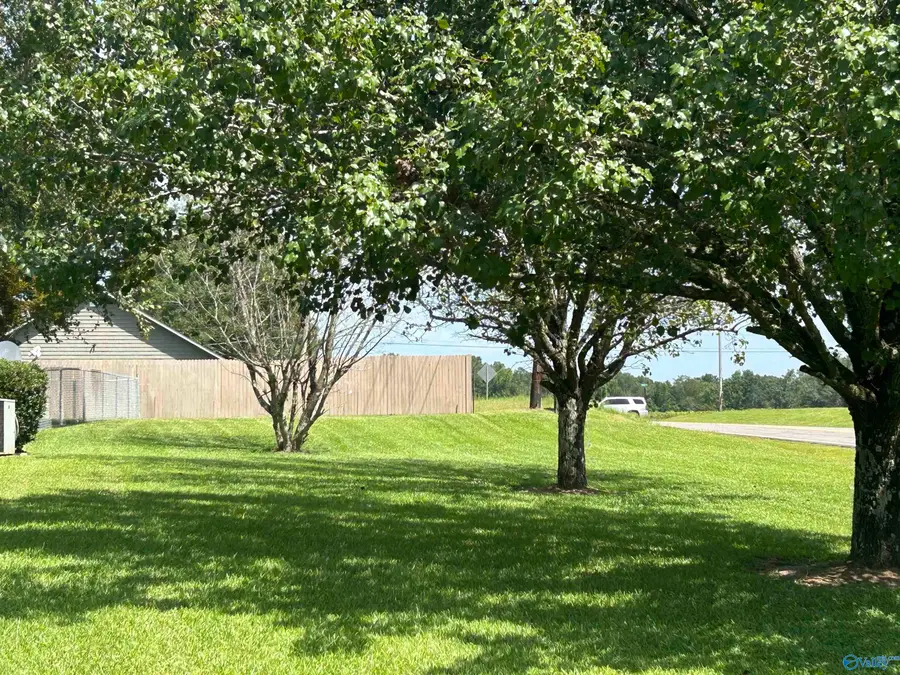 24 Rachel Lane, Hokes Bluff, AL 35905 - #2