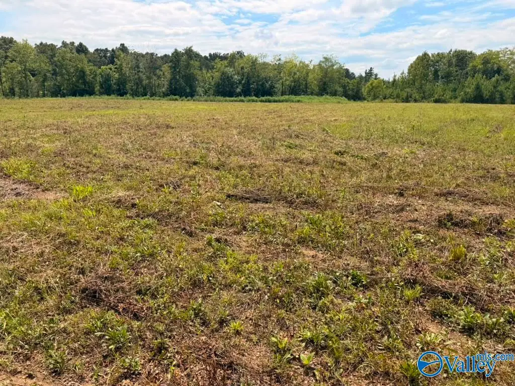 Lot 15 County Road 39, Piedmont, AL 36272 - #1