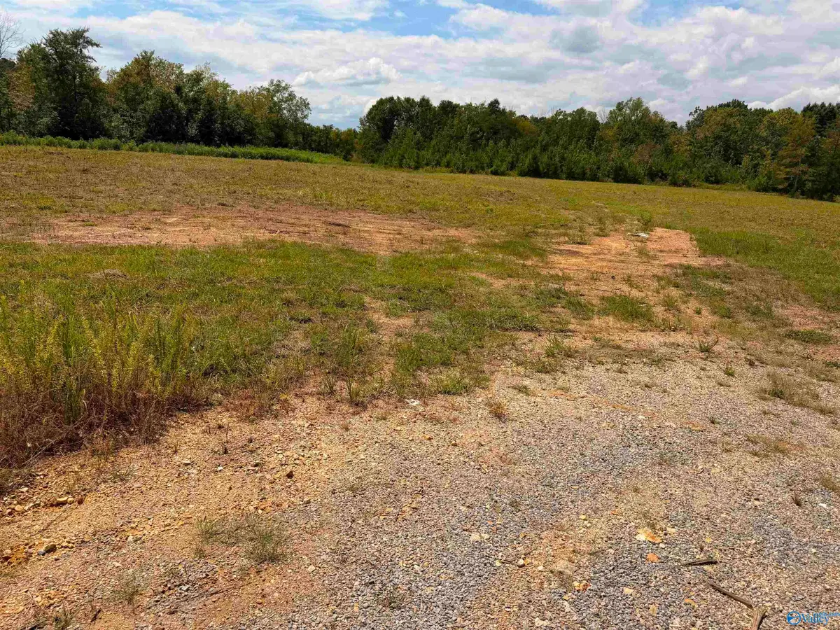 Lot 16 County Road 39, Piedmont, AL 36272 - #1