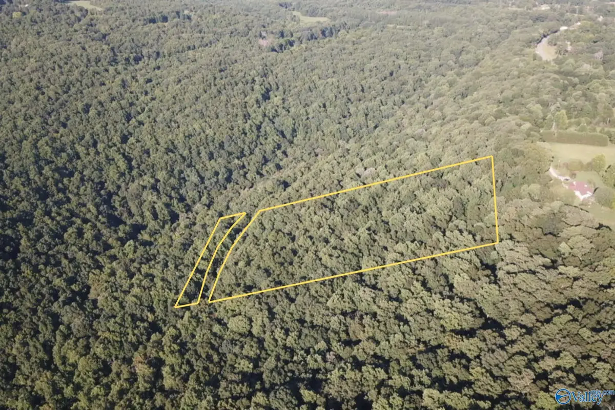 4.88 Acres Butler Mill Road, Grant, AL 35747 - #1