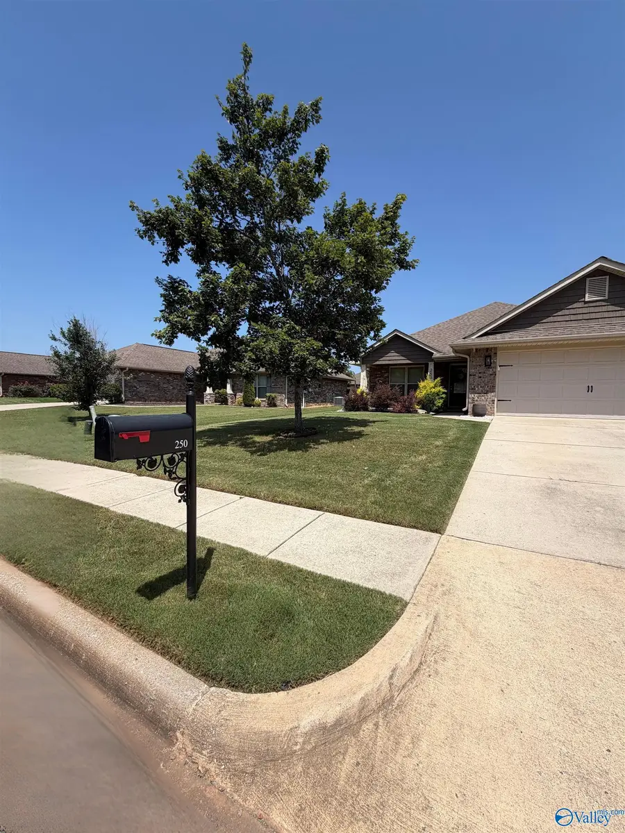 250 New Bristol Lane, Madison, AL 35756 - #2