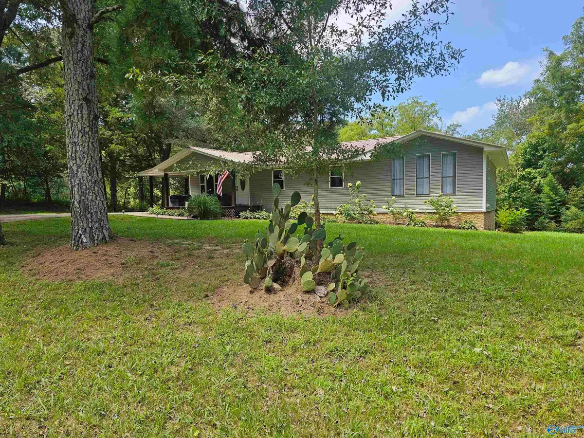 2774 Old Oneonta Road, Horton, AL 35980 - #1