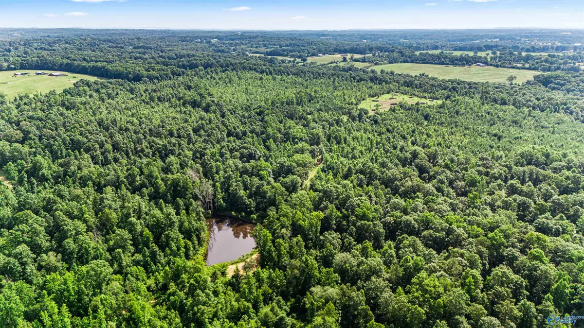 284 acres Eva Road, Vinemont, AL 35179 - #1