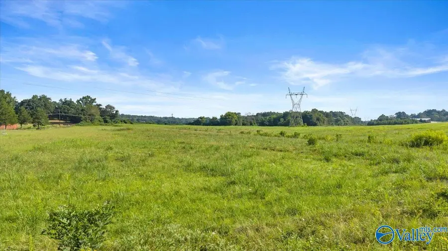 28 ac Highway 72, Hollywood, AL 35752 - #3