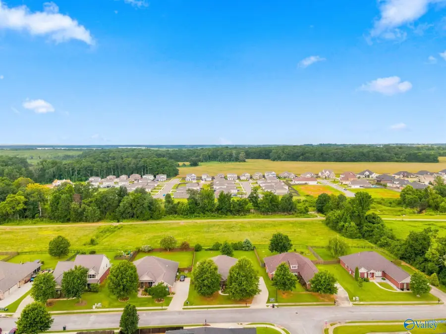 107 Golden Ash Court, Madison, AL 35756 - #2